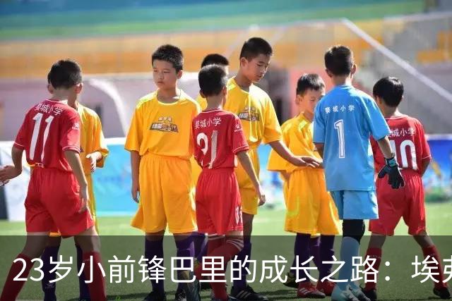 23岁小前锋巴里的成长之路：埃弗顿的“守护宝